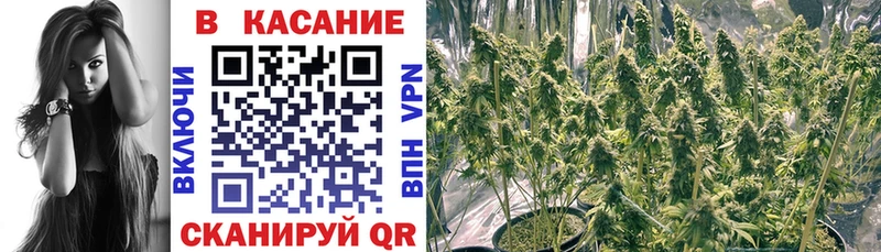 Где можно купить наркотики Озёрск АМФ  Cocaine  Мефедрон  APVP  ЭКСТАЗИ  ГАШ  Канабис 