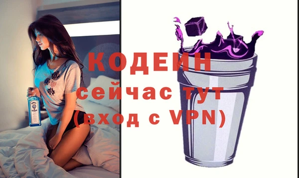 тгк Гусев