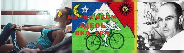 тгк Дмитровск