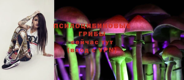 мдпв Усмань