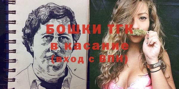 тгк Гусев