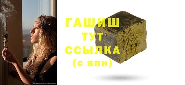 тгк Гусев