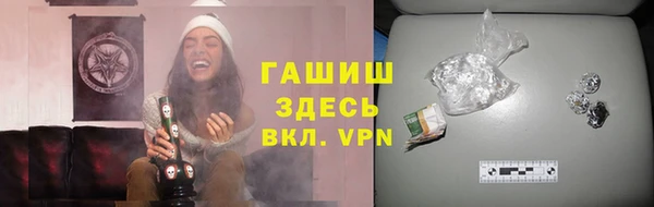 тгк Гусев