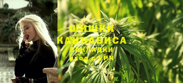 крисы Дмитриев
