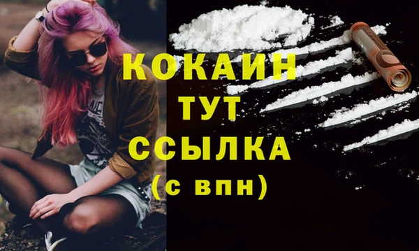 крисы Дмитриев