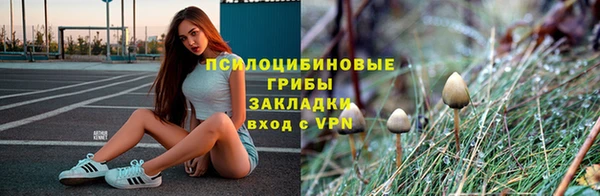MESCALINE Гусь-Хрустальный