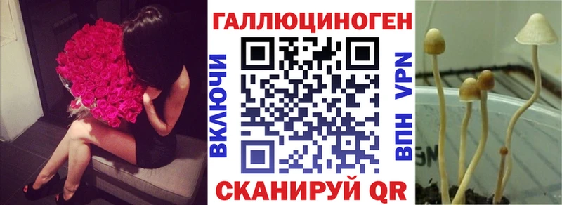 Псилоцибиновые грибы Psilocybe  даркнет сайт  Озёрск 